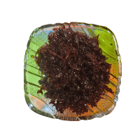 টক মিষ্টি ঝিরি আচার